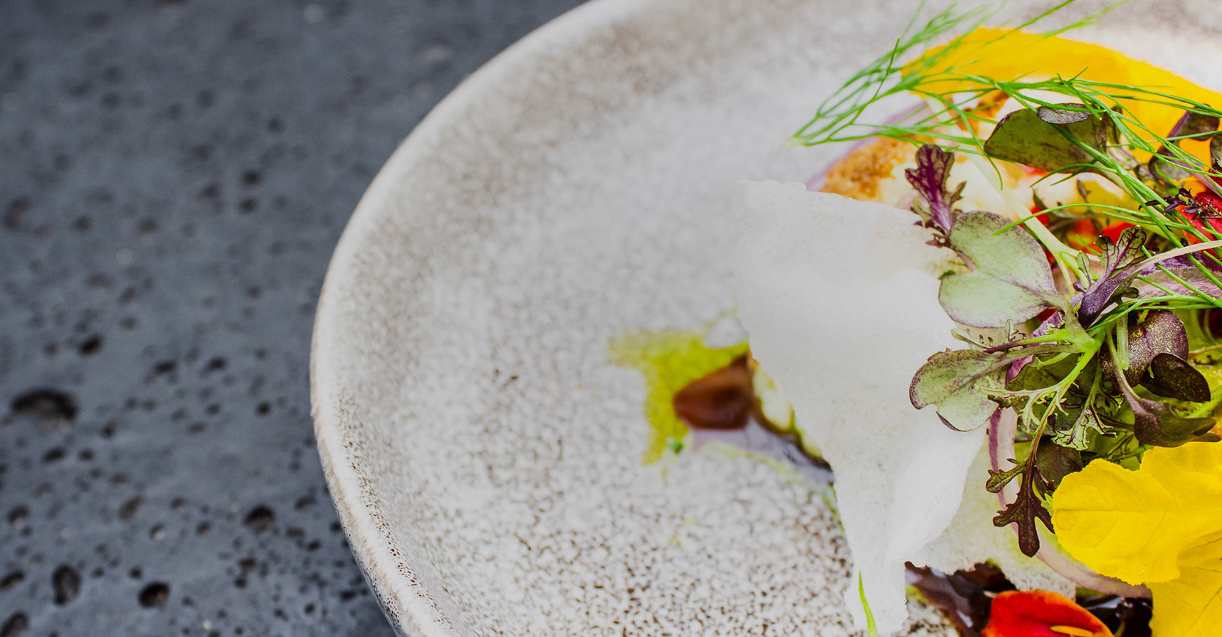 Best Vegan and Vegetarian Options in Delray Beach